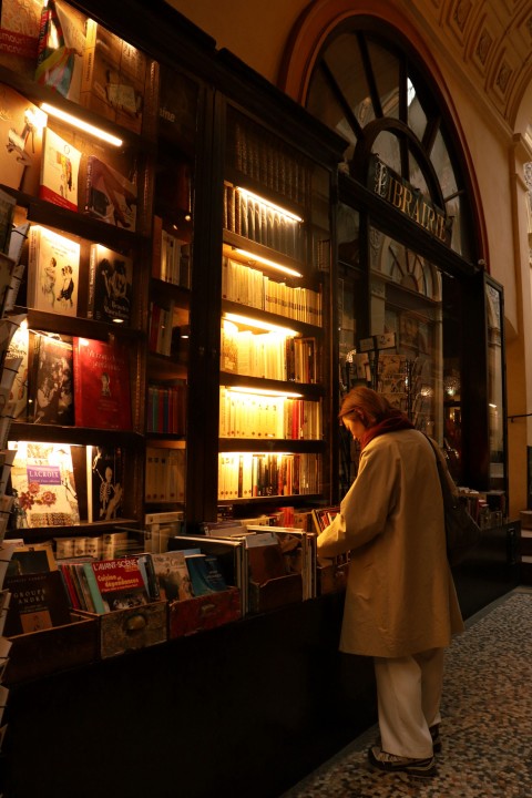 Romantasy book shop
